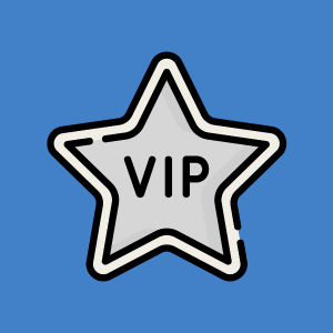 VIP icon with star for SurfPlay.